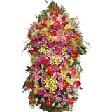 �𰲿�ҵ����