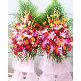 �𰲿�ҵ����