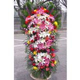 �𰲿�ҵ����